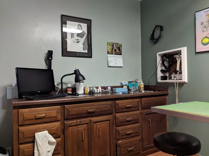 Eye Clinic Veterinary Picture 1