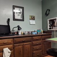 Eye Clinic Veterinary ico
