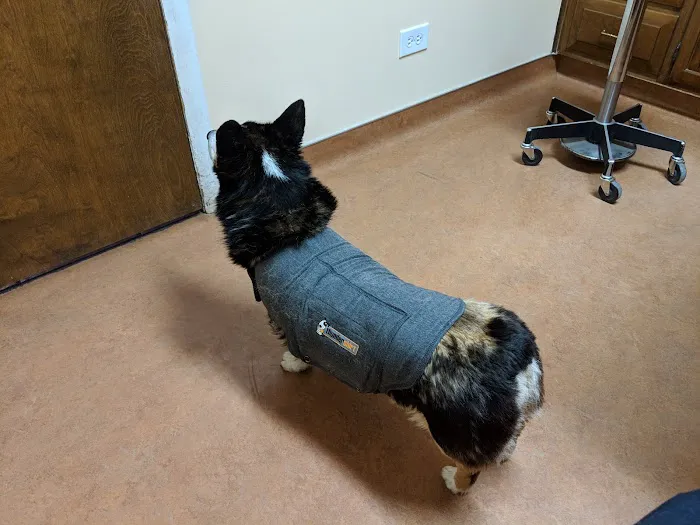 Eye Clinic Veterinary Picture 2