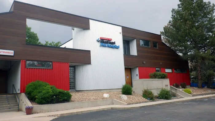 BluePearl Pet Hospital Picture 1