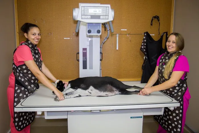 BluePearl Pet Hospital Picture 5