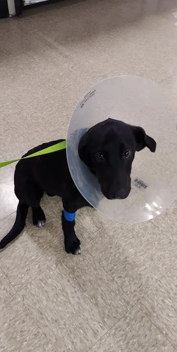 Banfield Pet Hospital Picture 1