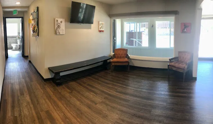 Olde Town Veterinary Clinic Picture 6
