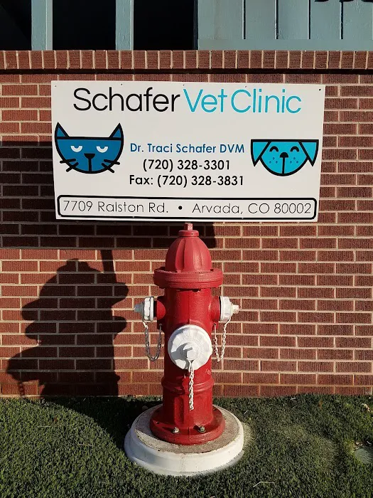 Olde Town Veterinary Clinic Picture 9