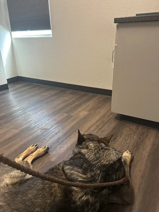 Olde Town Veterinary Clinic Picture 10