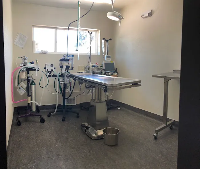 Olde Town Veterinary Clinic Picture 7