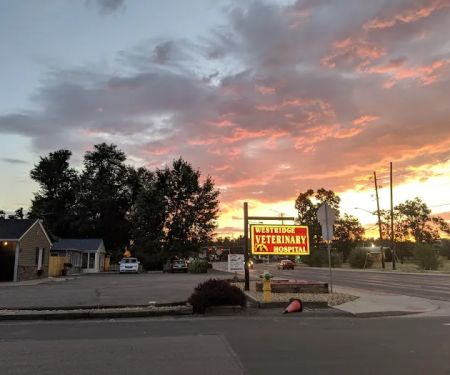 Westridge Veterinary Hospital