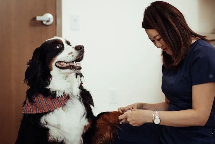 Founders Green Animal Hospital Picture 9
