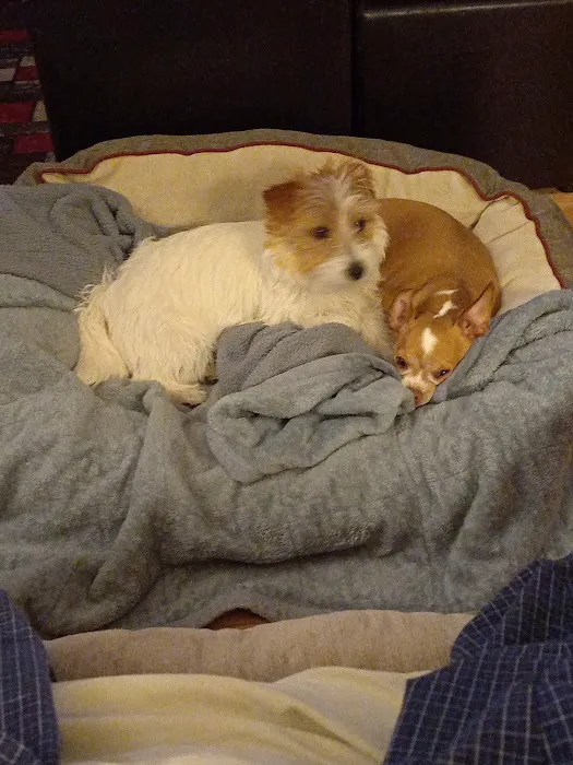 Banfield Pet Hospital Picture 7