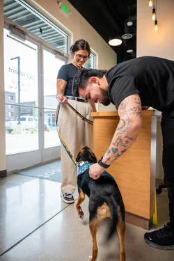 Sploot Veterinary Care - Central Park Picture 2