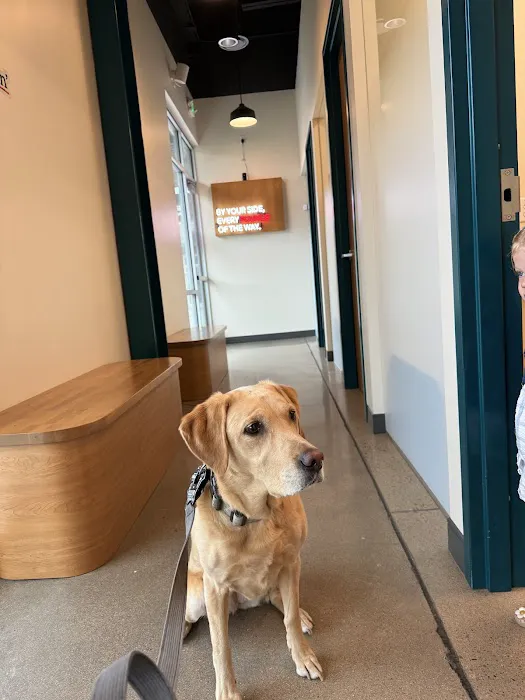 Sploot Veterinary Care - Central Park Picture 5