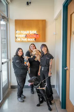 Sploot Veterinary Care - Central Park Picture 4