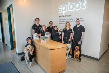 Sploot Veterinary Care - Central Park Picture 6