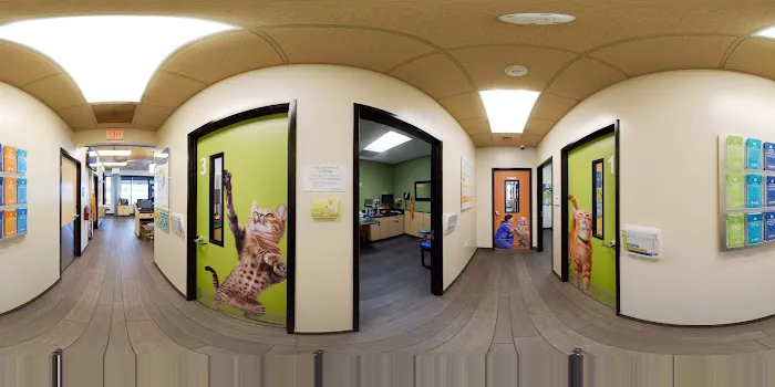 Banfield Pet Hospital Picture 6