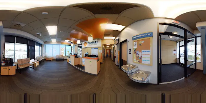 Banfield Pet Hospital Picture 7