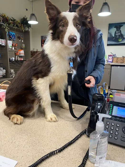 Evans East Animal Hospital Picture 1