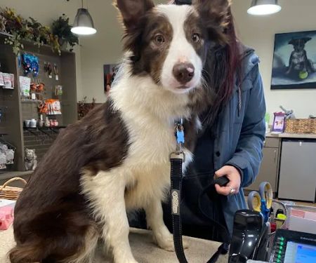 Evans East Animal Hospital