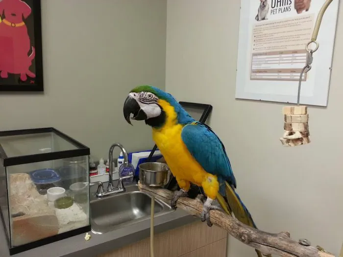 VIDA Veterinary Care - Denver Picture 4
