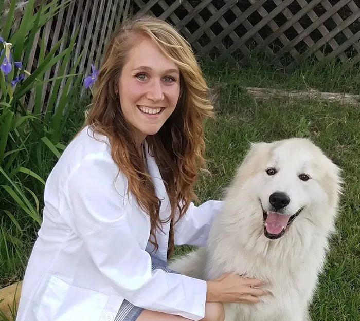 VIDA Veterinary Care - Denver Picture 7