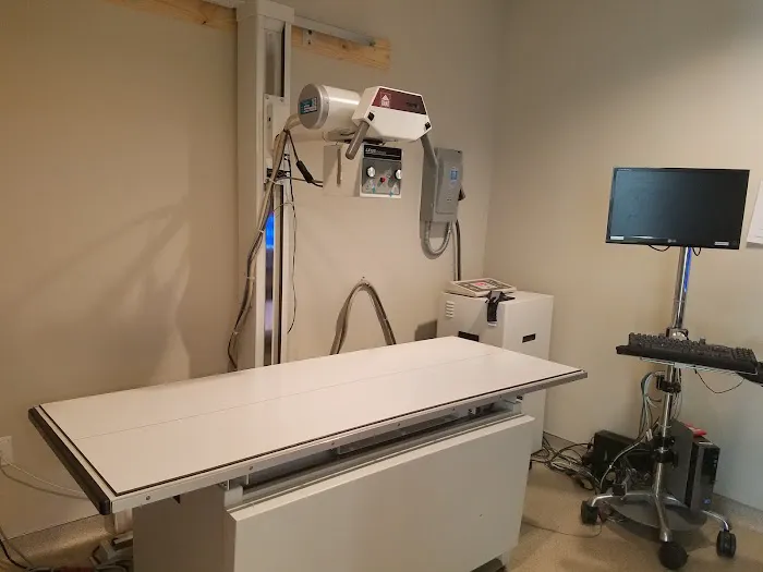 VIDA Veterinary Care - Denver Picture 9
