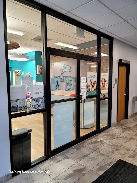 WellHaven Pet Health Colorado Blvd Picture 5