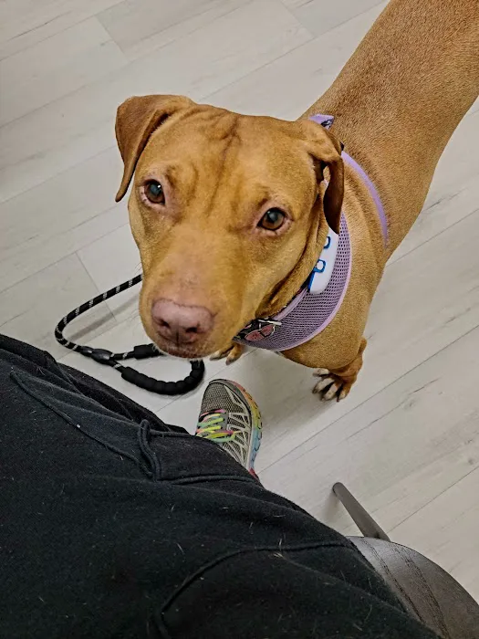 Wellshire Animal Hospital Picture 6