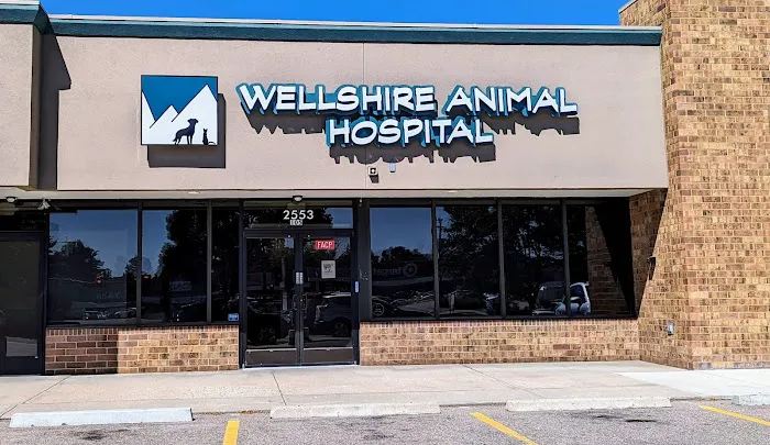 Wellshire Animal Hospital Picture 10