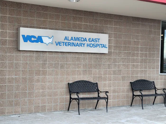 VCA Alameda East Veterinary Hospital Picture 4