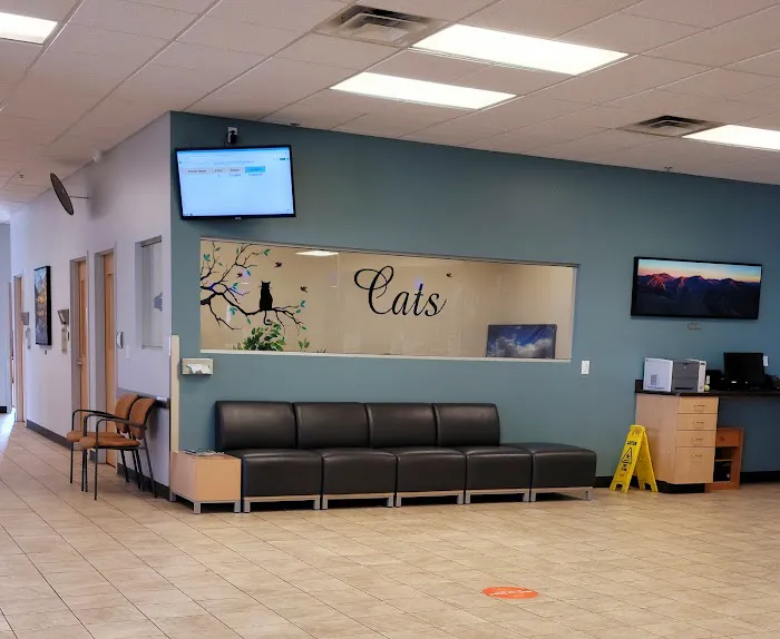 VCA Alameda East Veterinary Hospital Picture 6