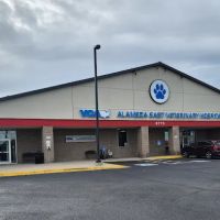 CVCA Alameda East ico