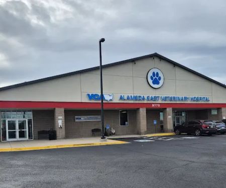 CVCA Alameda East