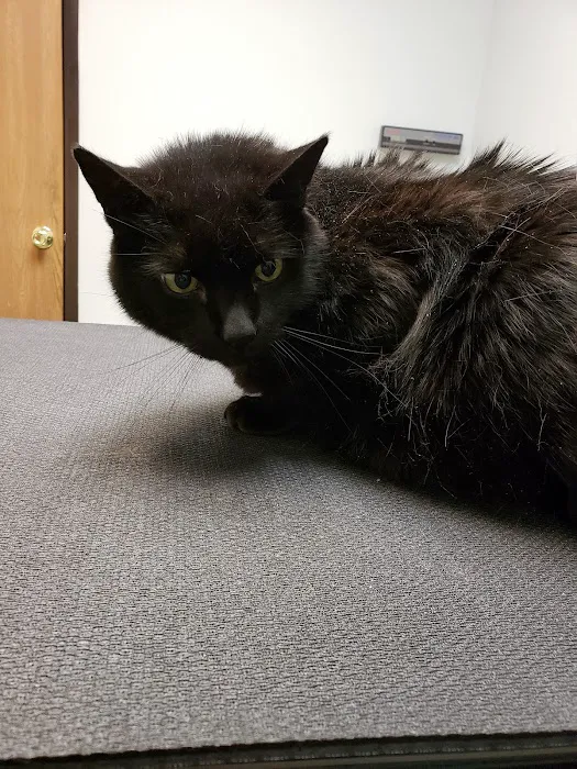 Aspen Commons Animal Hospital Picture 6