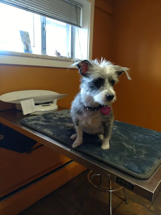 Pets R Us Aurora Picture 5