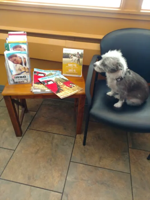 Pets R Us Aurora Picture 4