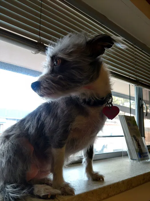 Pets R Us Aurora Picture 7