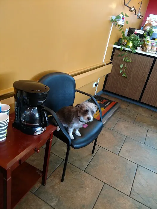 Pets R Us Aurora Picture 10