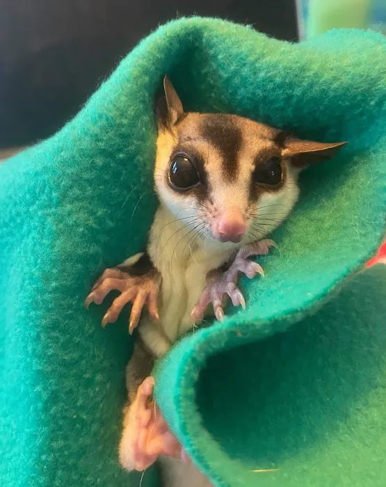 Colorado Exotic Animal Hospital Picture 9