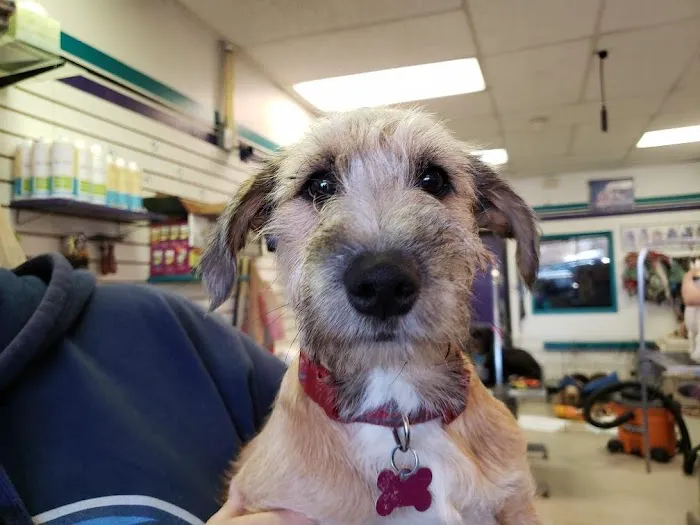 West Denver Veterinary Hospital & Wellness Picture 1