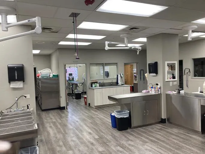 West Denver Veterinary Hospital & Wellness Picture 7