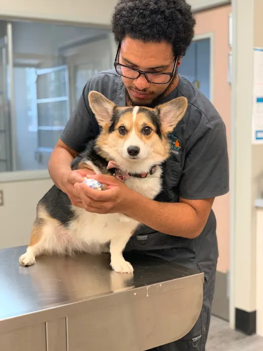 West Denver Veterinary Hospital & Wellness Picture 10