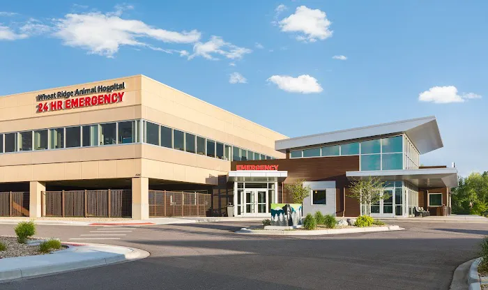 Wheat Ridge Animal Hospital Picture 1
