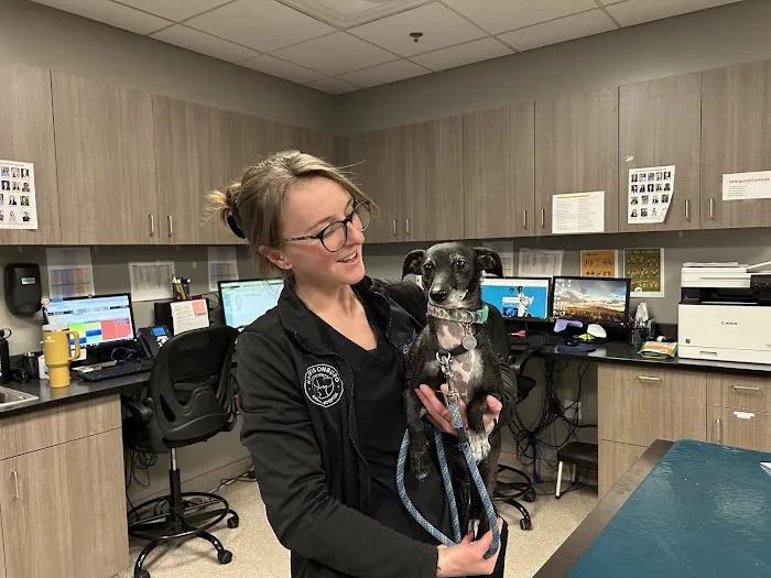 Wheat Ridge Animal Hospital Picture 3