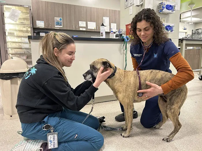 Wheat Ridge Animal Hospital Picture 10