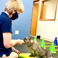 Rocky Mountain Veterinary Rehabilitation ico
