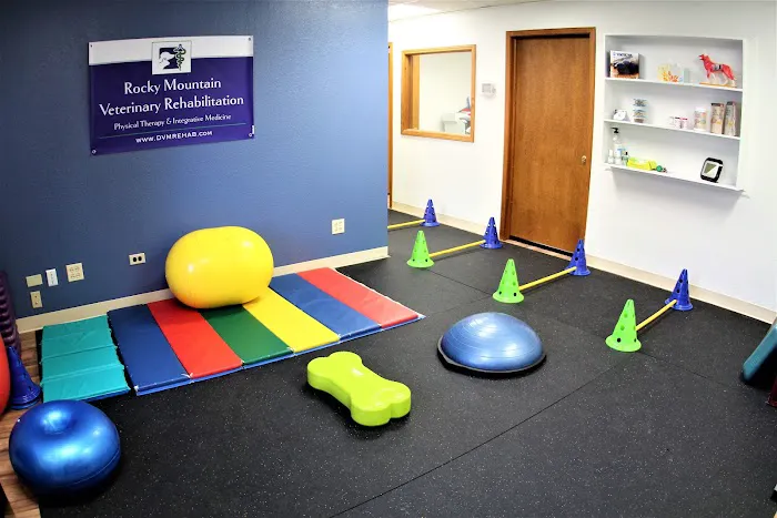 Rocky Mountain Veterinary Rehabilitation Picture 2