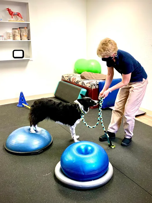Rocky Mountain Veterinary Rehabilitation Picture 10