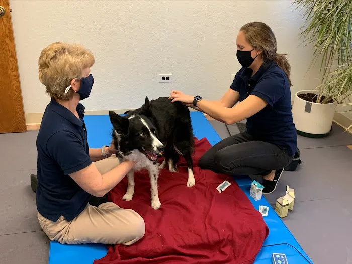 Rocky Mountain Veterinary Rehabilitation Picture 8
