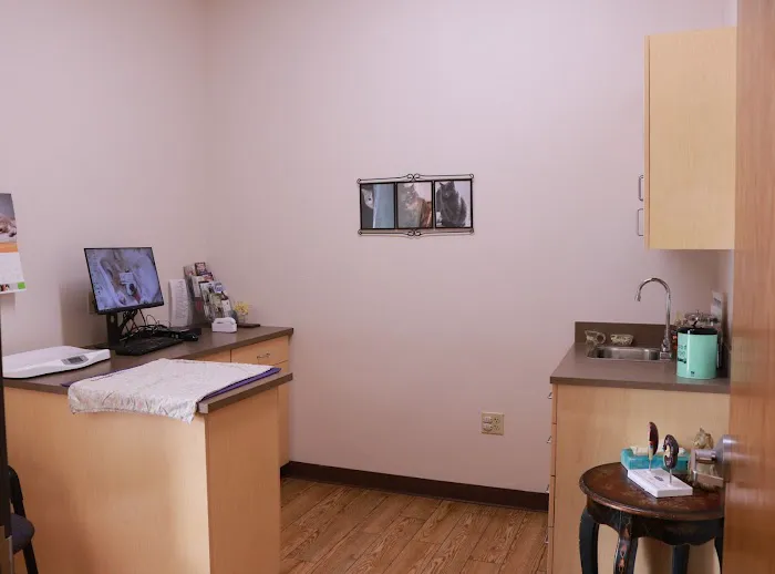 Clear Creek Animal Hospital Picture 6