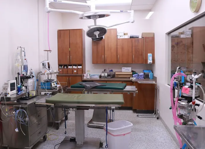 Clear Creek Animal Hospital Picture 4