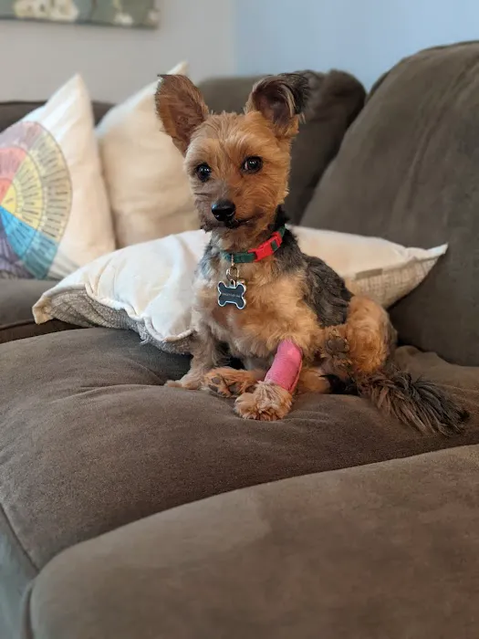 Clear Creek Animal Hospital Picture 8
